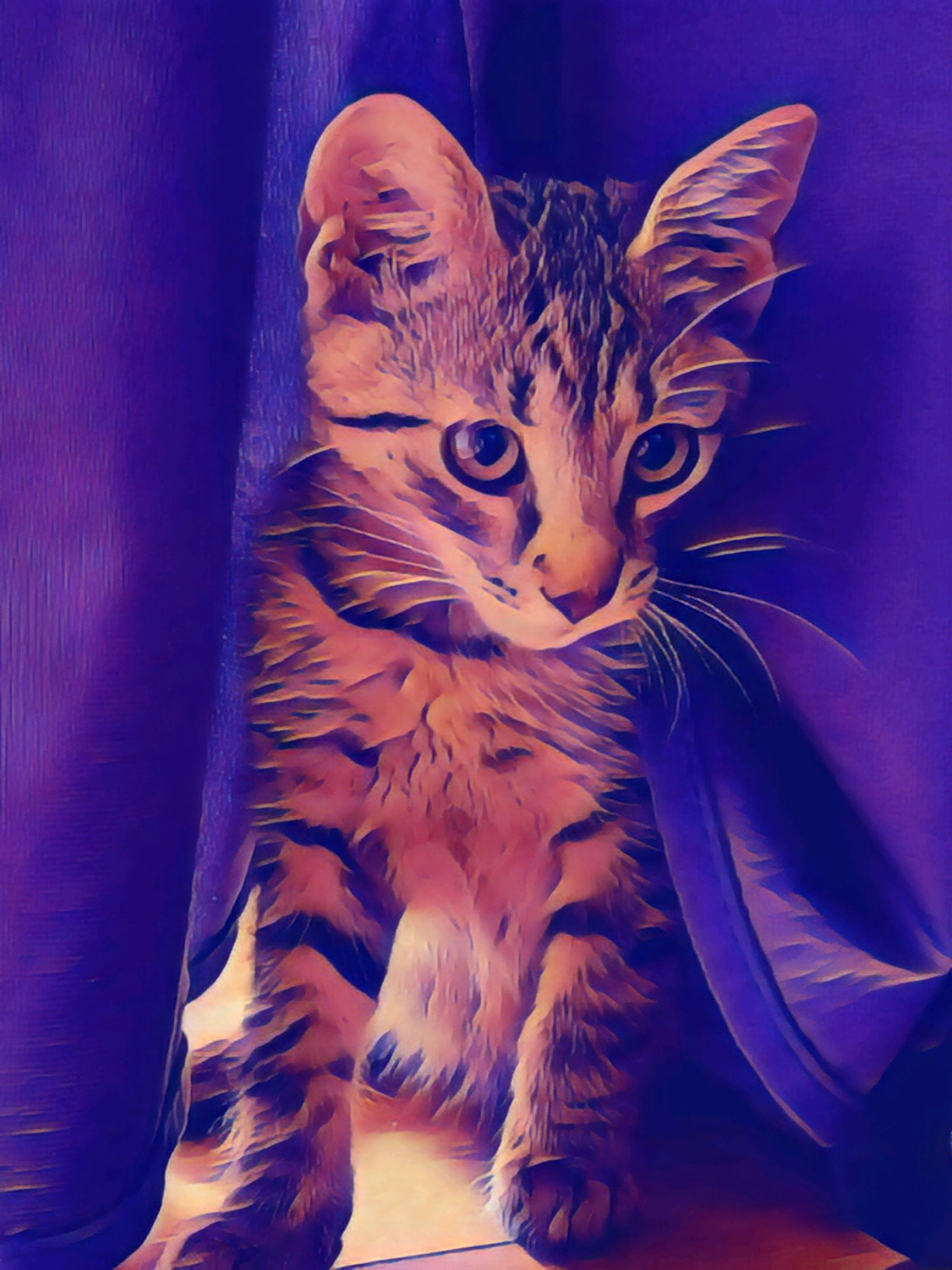 nftImage