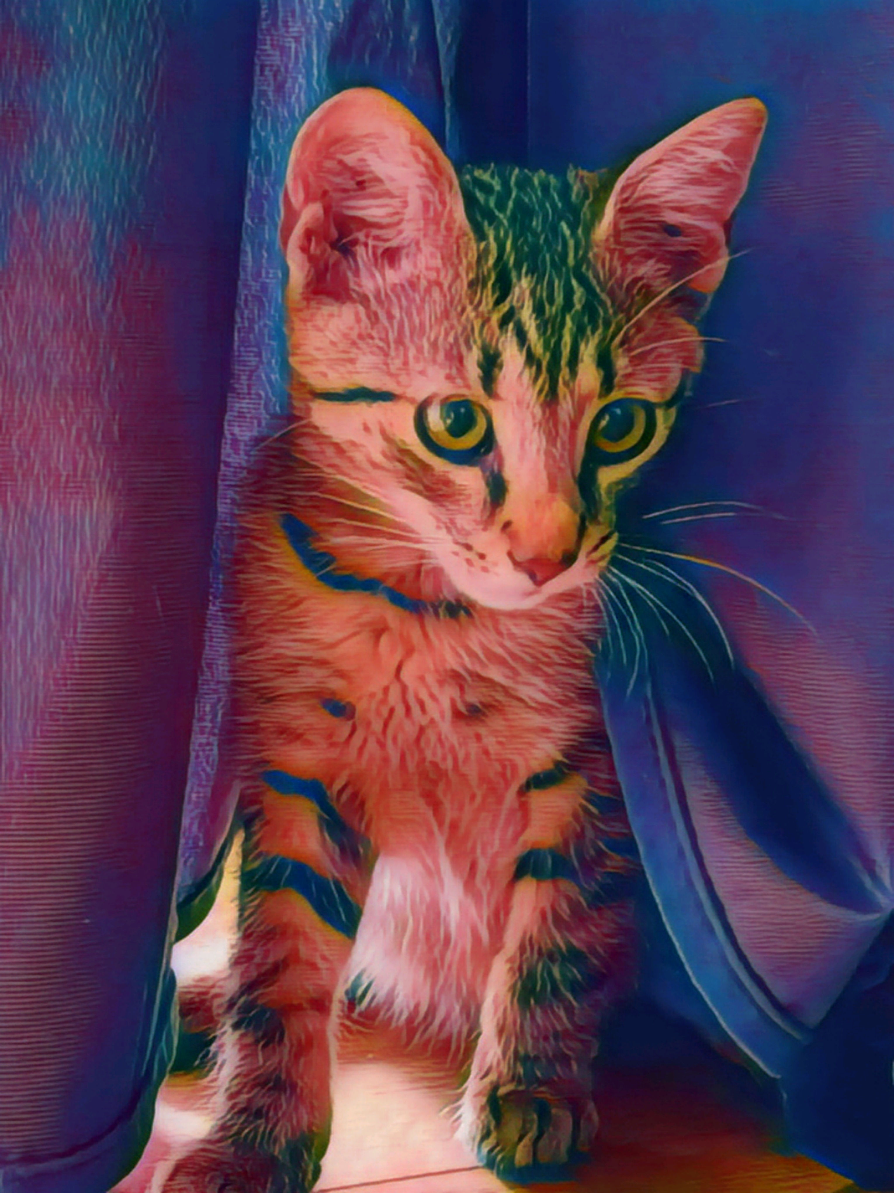 nftImage